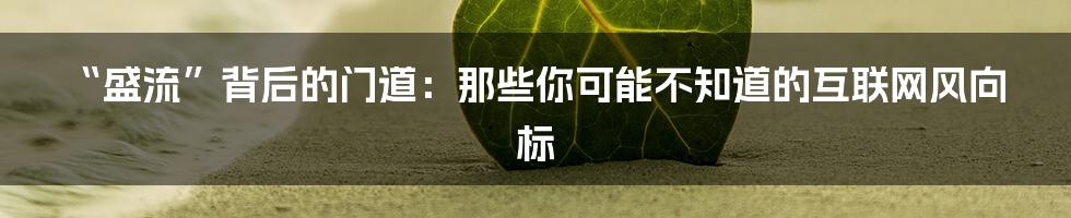 “盛流”背后的门道:那些你可能不知道的互联网风向标