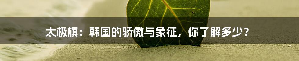 太极旗:韩国的骄傲与象征,你了解多少?