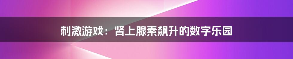 刺激游戏:肾上腺素飙升的数字乐园