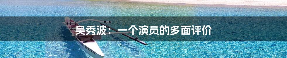 吴秀波：一个演员的多面评价