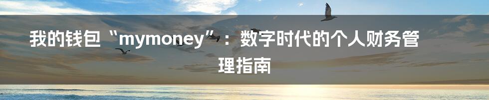 我的钱包“mymoney”:数字时代的个人财务管理指南