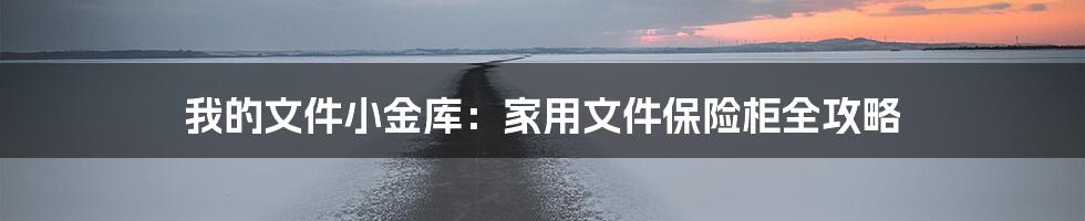 我的文件小金库：家用文件保险柜全攻略