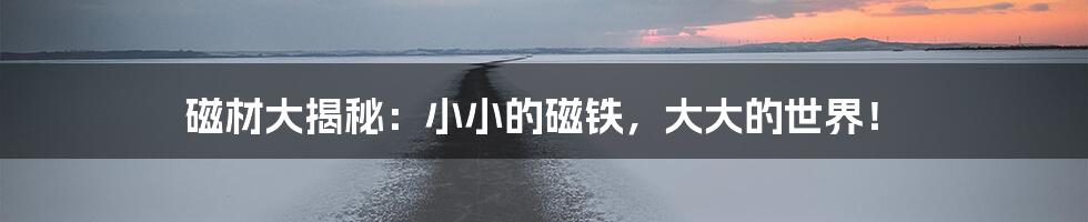 磁材大揭秘:小小的磁铁,大大的世界!