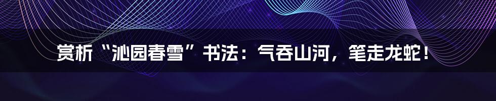 赏析“沁园春雪”书法:气吞山河,笔走龙蛇!