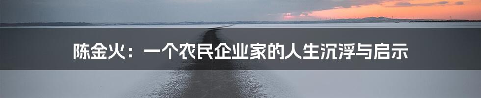 陈金火:一个农民企业家的人生沉浮与启示