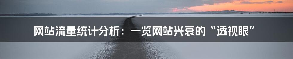 网站流量统计分析:一览网站兴衰的“透视眼”