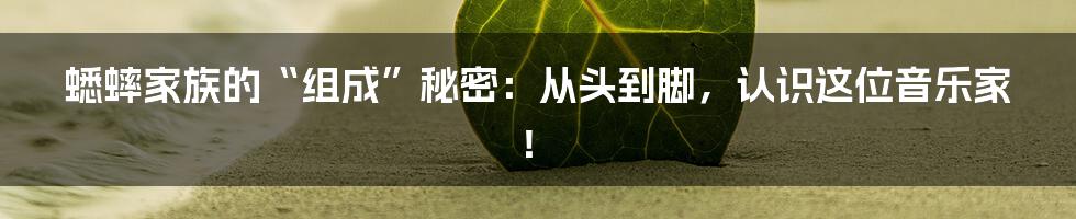 蟋蟀家族的“组成”秘密:从头到脚,认识这位音乐家!