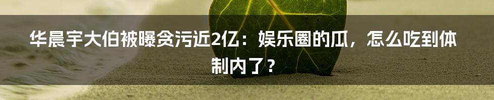 华晨宇大伯被曝贪污近2亿:娱乐圈的瓜,怎么吃到体制内了?