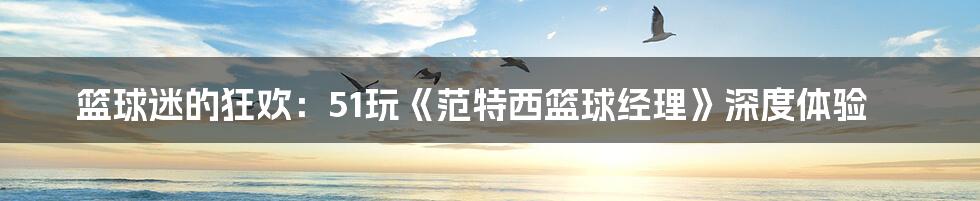 篮球迷的狂欢:51玩《范特西篮球经理》深度体验
