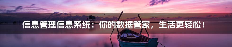 信息管理信息系统:你的数据管家,生活更轻松!