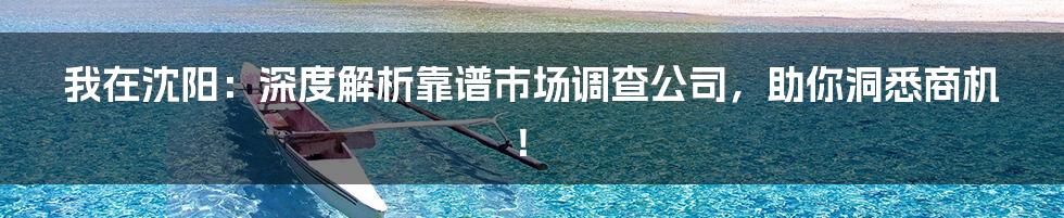 我在沈阳:深度解析靠谱市场调查公司,助你洞悉商机!