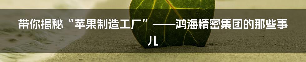带你揭秘“苹果制造工厂”——鸿海精密集团的那些事儿