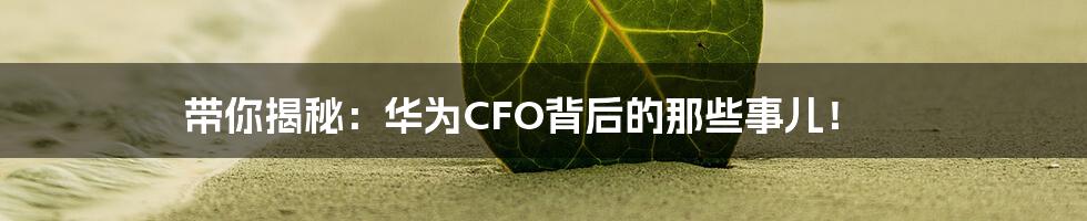 带你揭秘:华为CFO背后的那些事儿!