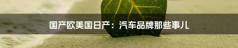 国产欧美国日产:汽车品牌那些事儿