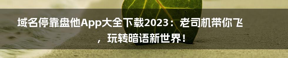 域名停靠盘他App大全下载2023：老司机带你飞，玩转暗语新世界！