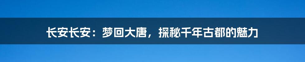 长安长安:梦回大唐,探秘千年古都的魅力
