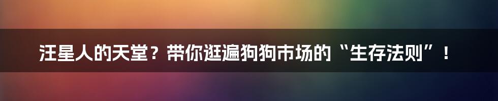 汪星人的天堂?带你逛遍狗狗市场的“生存法则”!
