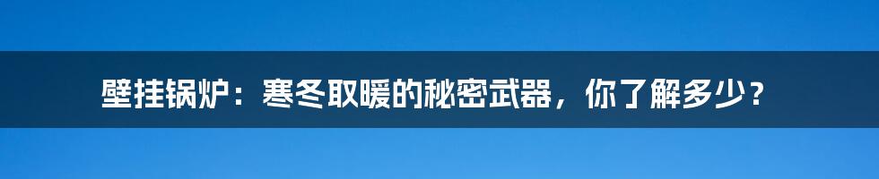壁挂锅炉:寒冬取暖的秘密武器,你了解多少?