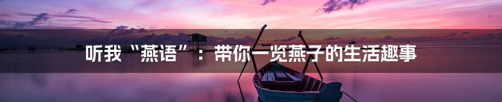 听我“燕语”:带你一览燕子的生活趣事