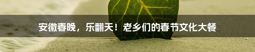 安徽春晚,乐翻天!老乡们的春节文化大餐