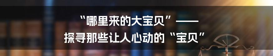 “哪里来的大宝贝”—— 探寻那些让人心动的“宝贝”