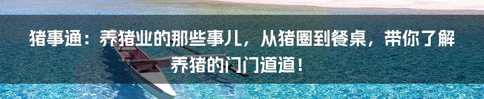 猪事通:养猪业的那些事儿,从猪圈到餐桌,带你了解养猪的门门道道!