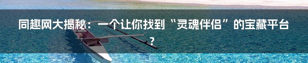同趣网大揭秘:一个让你找到“灵魂伴侣”的宝藏平台?
