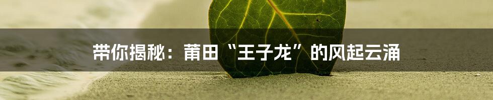 带你揭秘:莆田“王子龙”的风起云涌