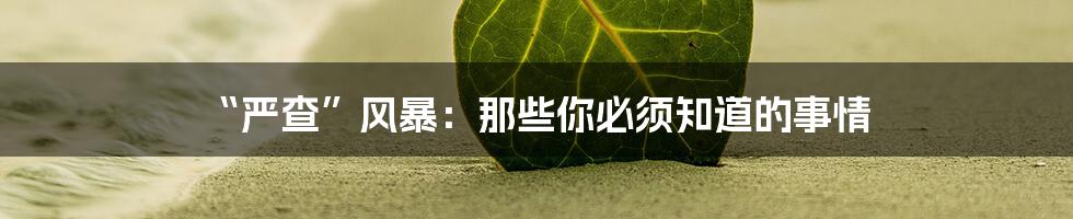 “严查”风暴:那些你必须知道的事情