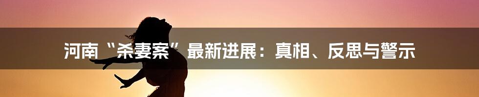河南“杀妻案”最新进展:真相、反思与警示