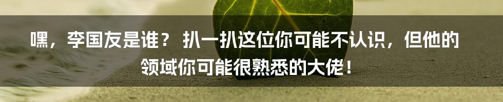 嘿，李国友是谁？ 扒一扒这位你可能不认识，但他的领域你可能很熟悉的大佬！