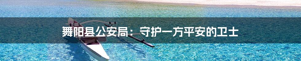舞阳县公安局：守护一方平安的卫士