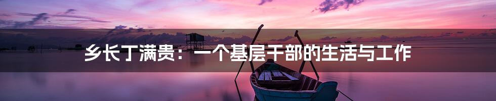 乡长丁满贵：一个基层干部的生活与工作