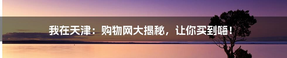 我在天津:购物网大揭秘,让你买到嗨!
