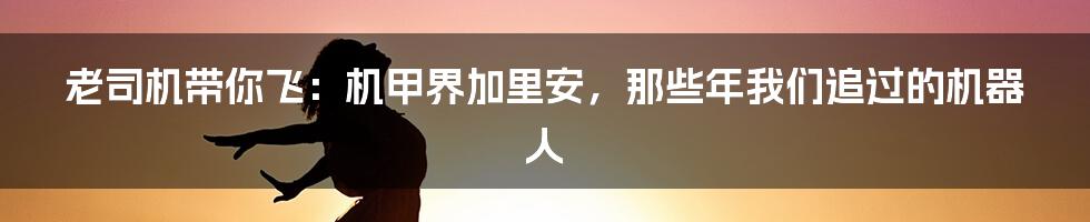 老司机带你飞：机甲界加里安，那些年我们追过的机器人