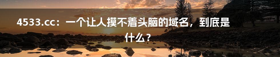 4533.cc:一个让人摸不着头脑的域名,到底是什么?