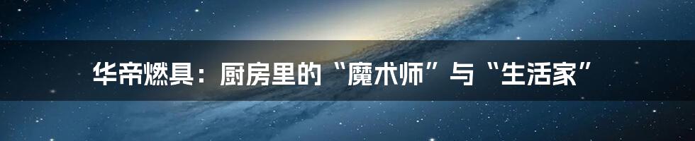 华帝燃具:厨房里的“魔术师”与“生活家”