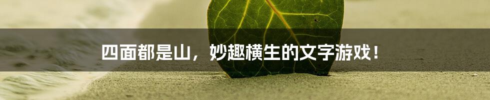 四面都是山，妙趣横生的文字游戏！