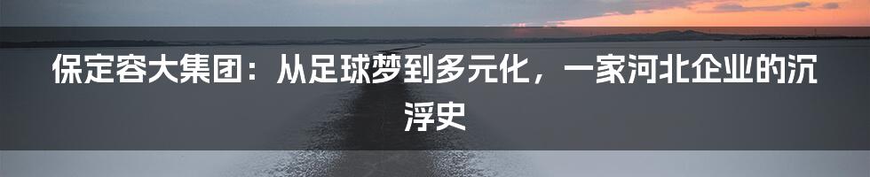 保定容大集团:从足球梦到多元化,一家河北企业的沉浮史