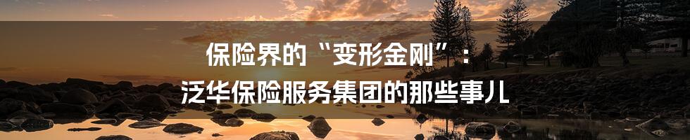保险界的“变形金刚”: 泛华保险服务集团的那些事儿