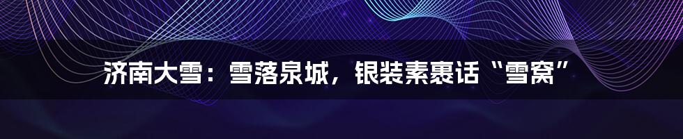 济南大雪:雪落泉城,银装素裹话“雪窝”