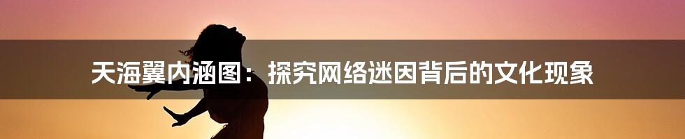 天海翼内涵图:探究网络迷因背后的文化现象