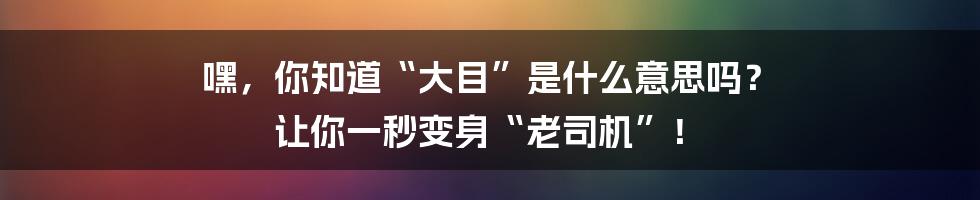嘿,你知道“大目”是什么意思吗? 让你一秒变身“老司机”!