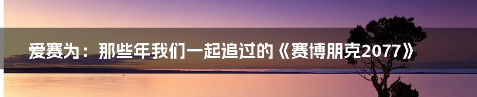 爱赛为:那些年我们一起追过的《赛博朋克2077》