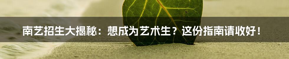 南艺招生大揭秘：想成为艺术生？这份指南请收好！