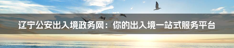 辽宁公安出入境政务网:你的出入境一站式服务平台