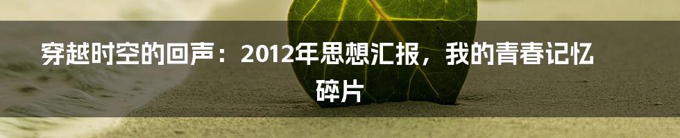 穿越时空的回声:2012年思想汇报,我的青春记忆碎片