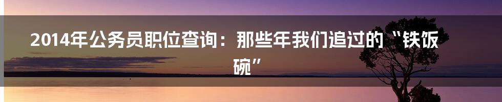 2014年公务员职位查询：那些年我们追过的“铁饭碗”