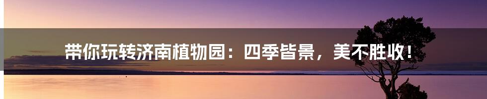 带你玩转济南植物园:四季皆景,美不胜收!