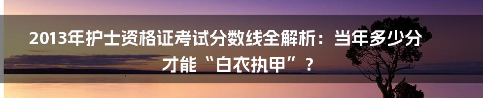 2013年护士资格证考试分数线全解析:当年多少分才能“白衣执甲”?